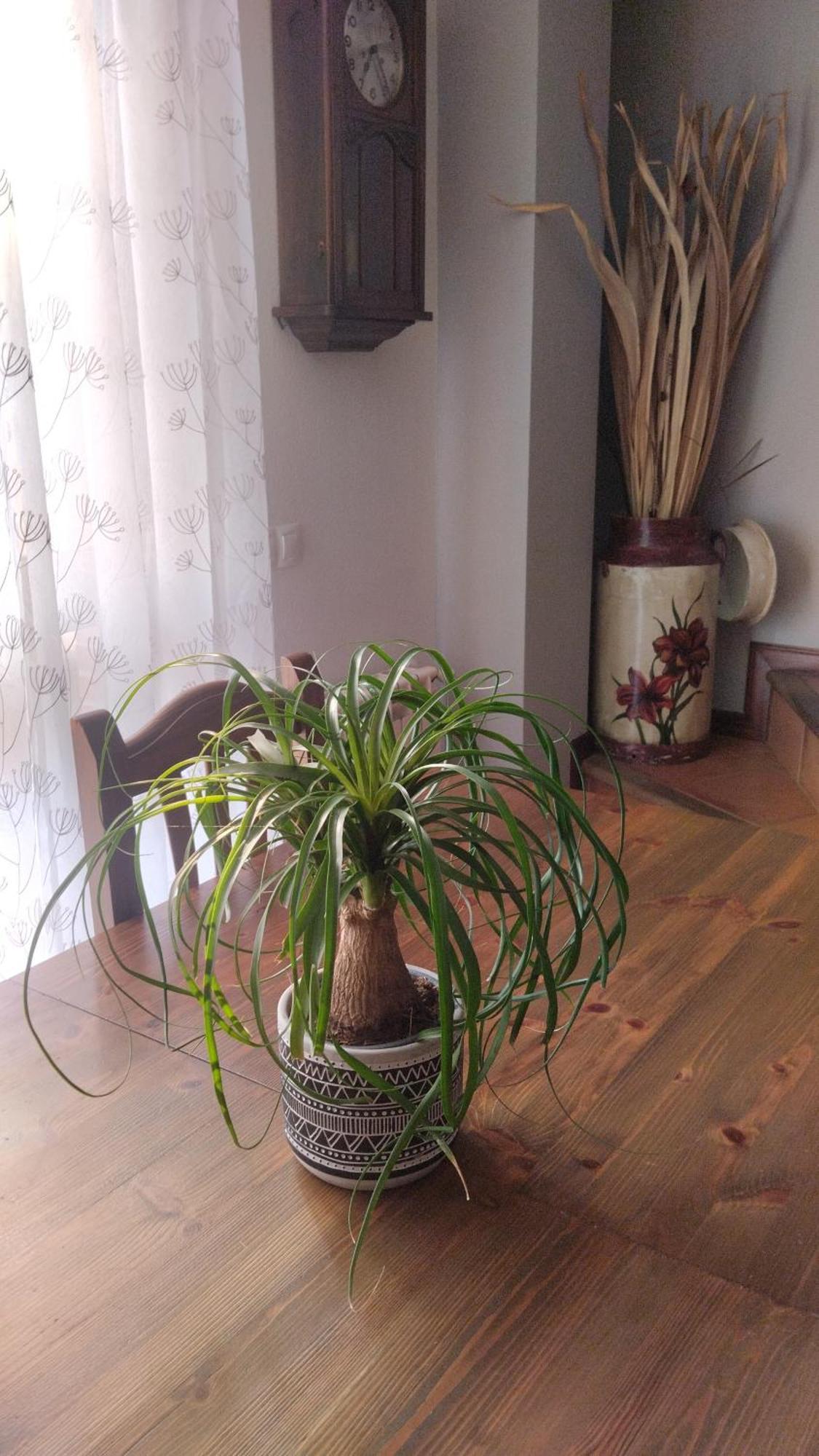 El Balcon De Villapresente エクステリア 写真